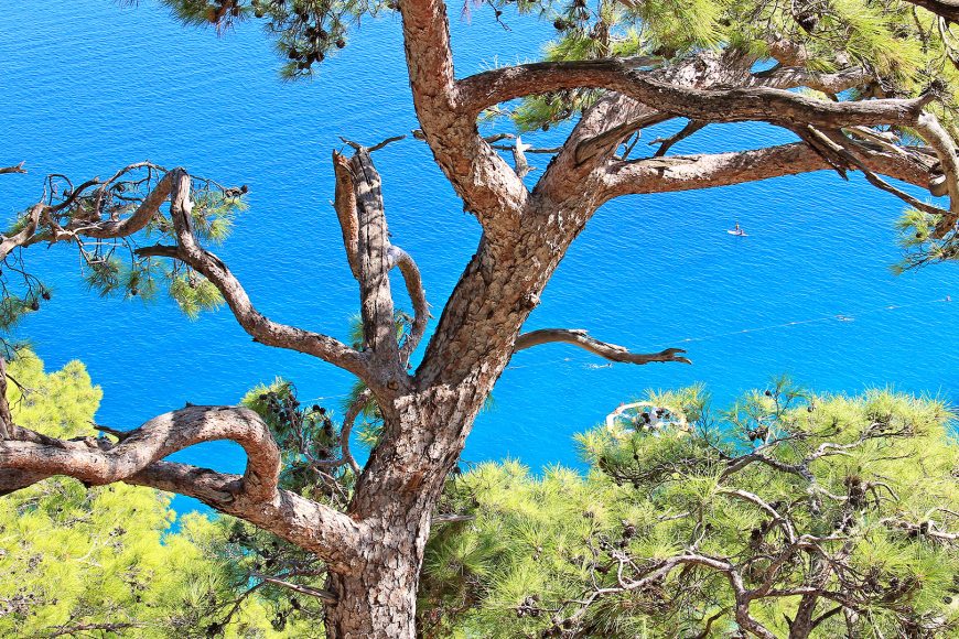Halkidiki Greece